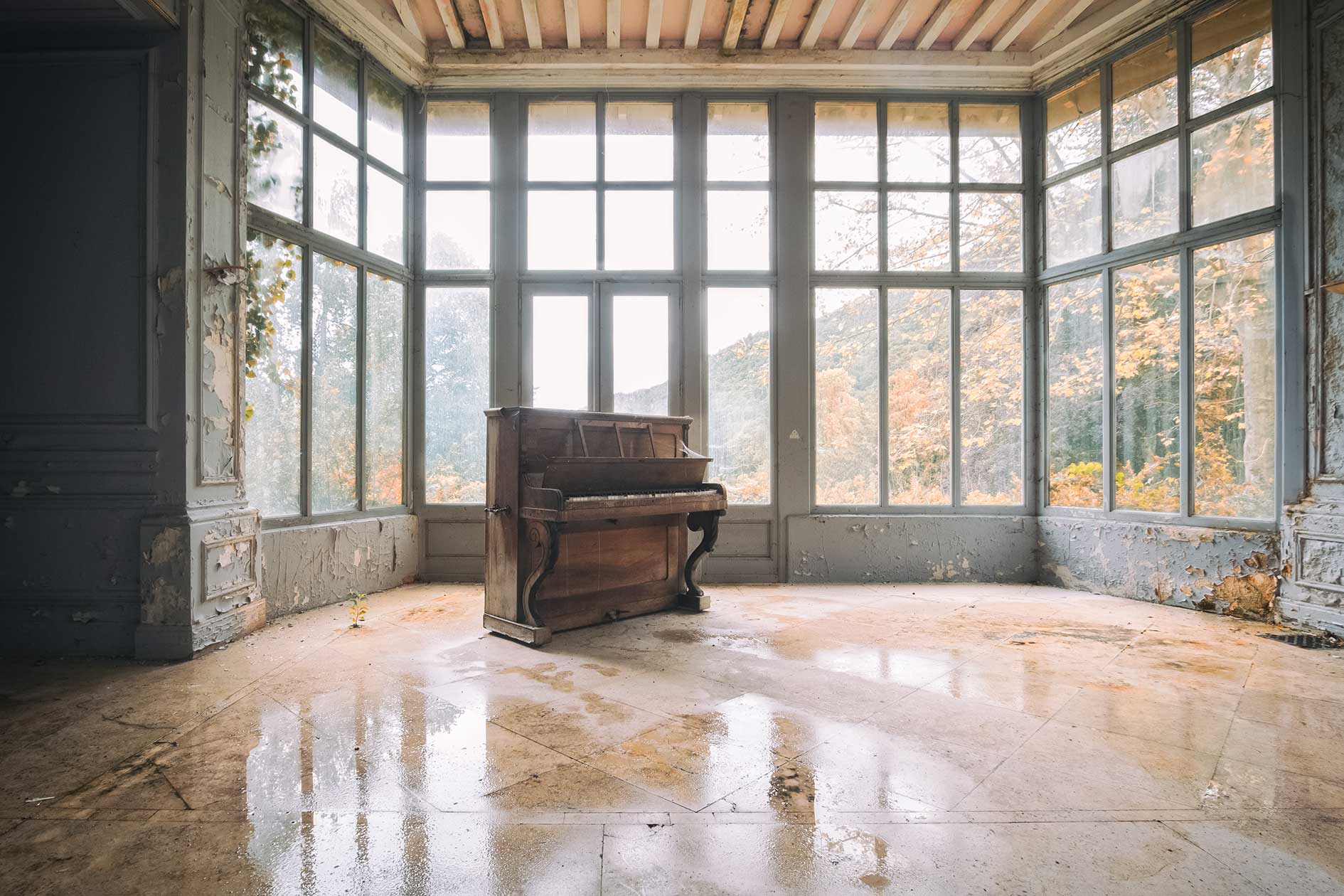 Verlassenes Klavier von Herbstlaub bedeckt